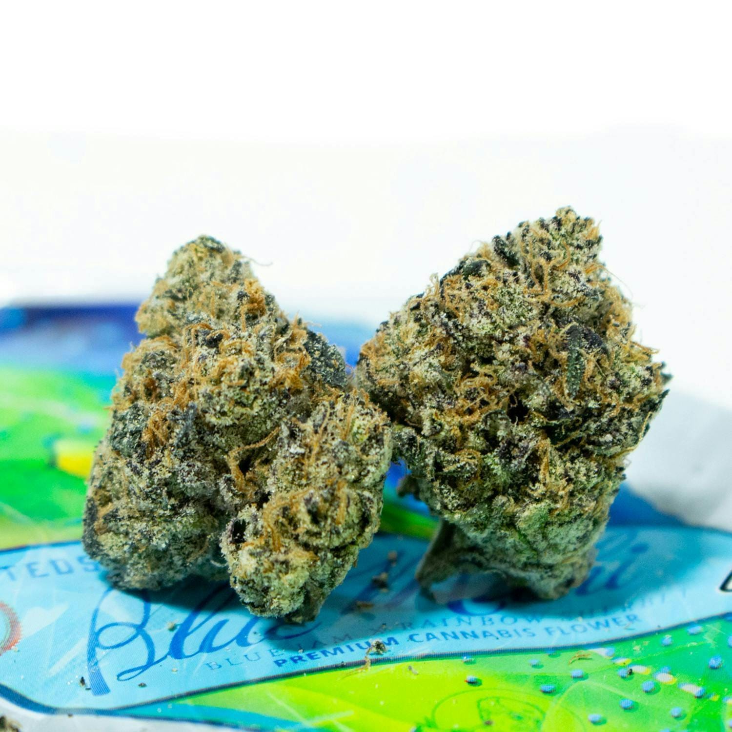 TEDS BUDZ: Blue Mahi
