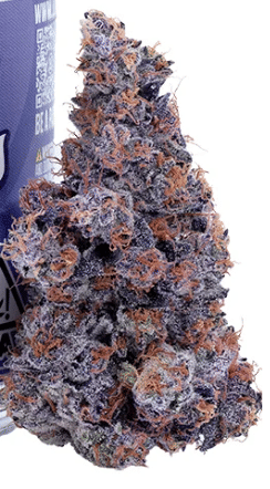 Lumpy's Flowers — Fuzzy Slippers Mylar