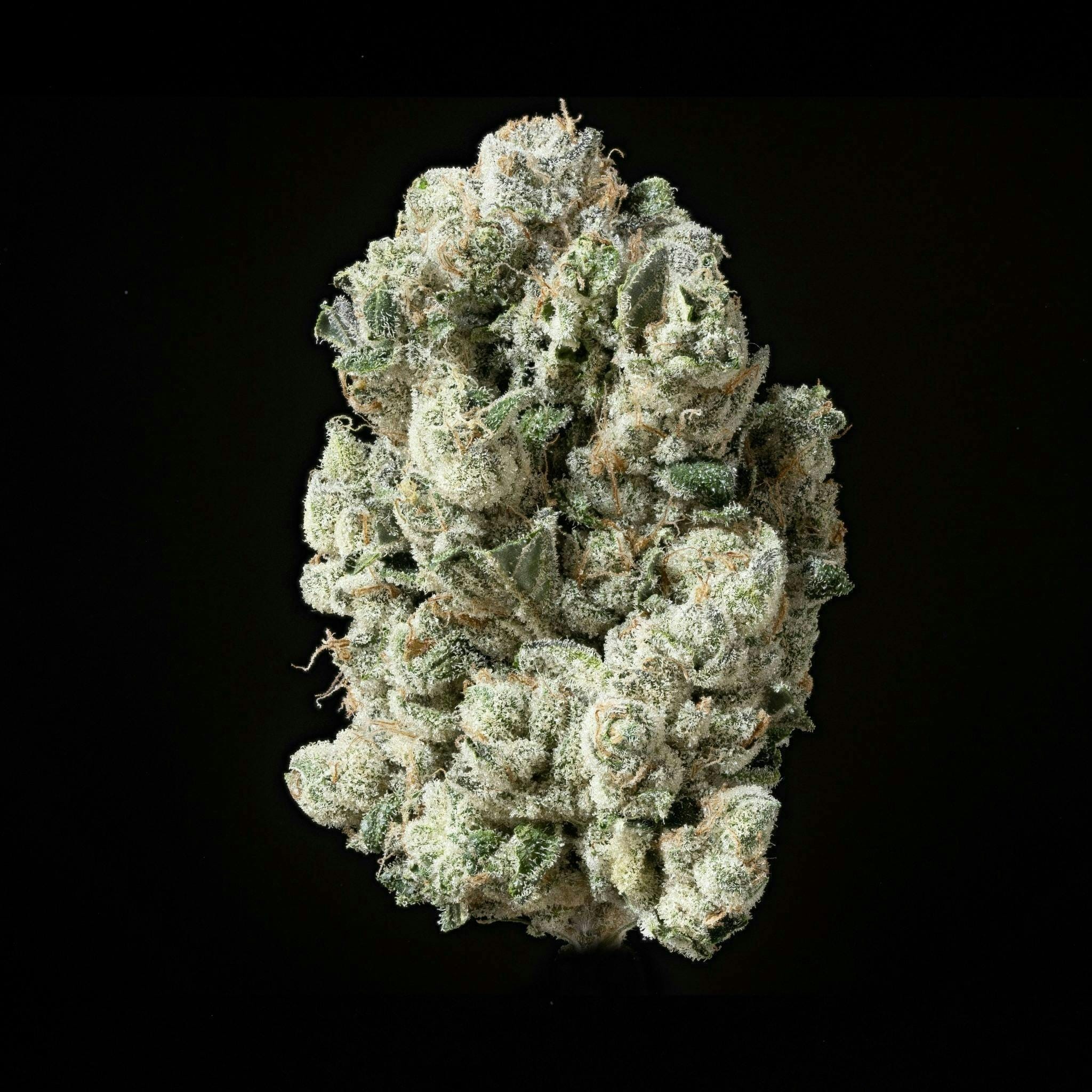 Sticky Status: The One