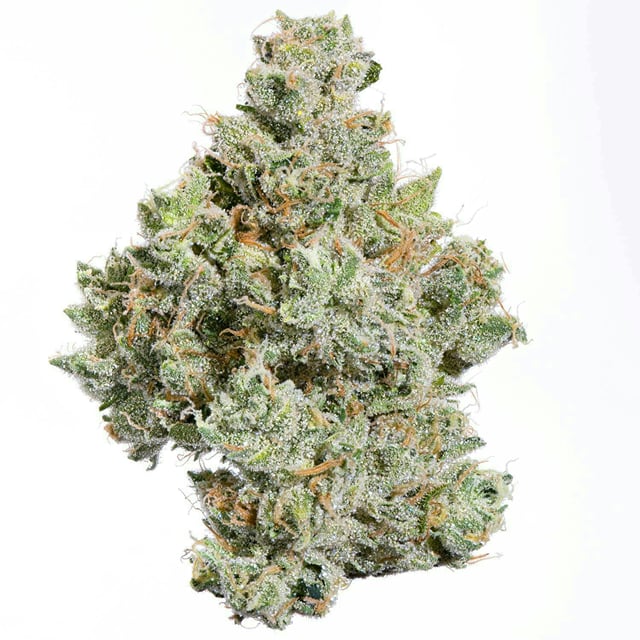 Fig Farms | Zowahh | Big Buds