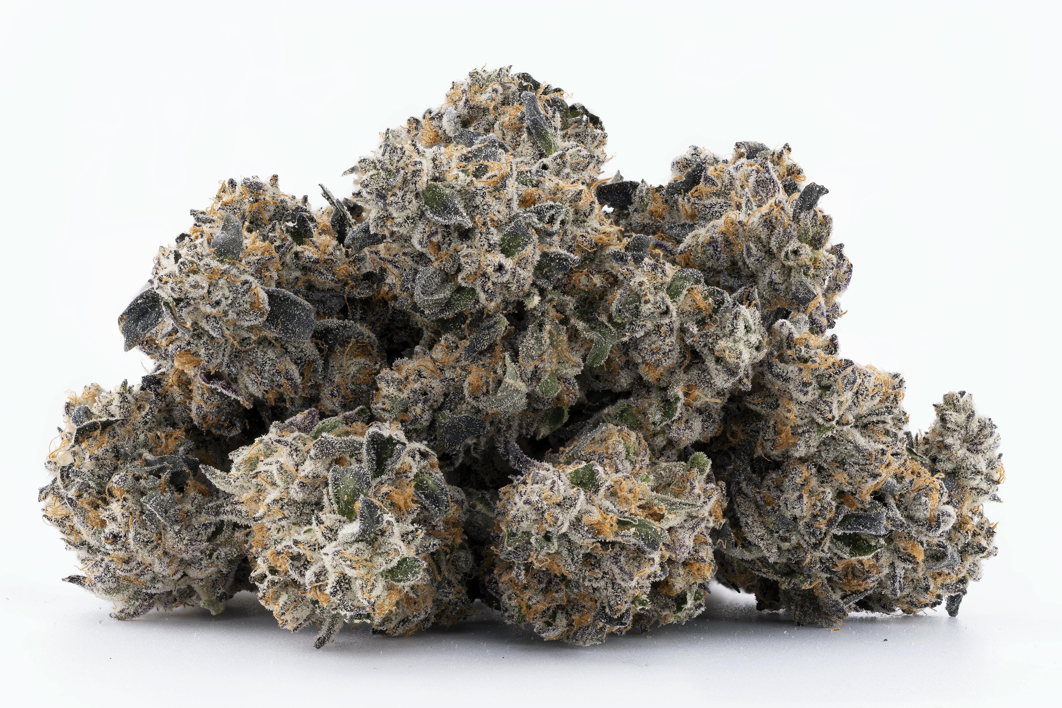 Lumpy's Flowers: Benanimals