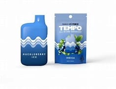TEMPO: Huckleberry Ice