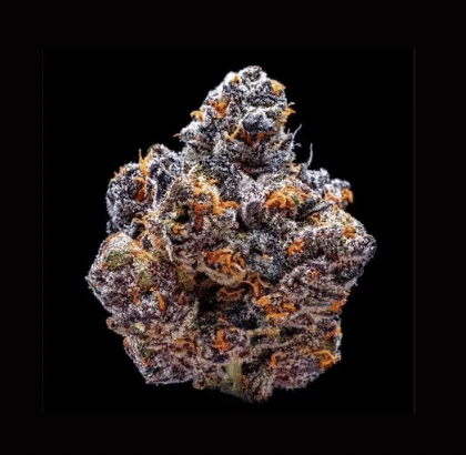 7g GELATO X
