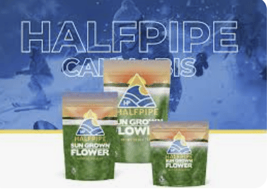 HALFPIPE — Parlier Parfait