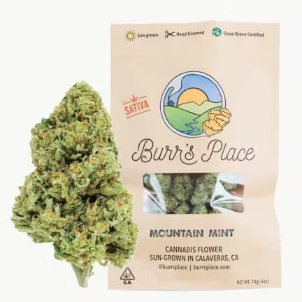 Burr's Place — Mountain Mint