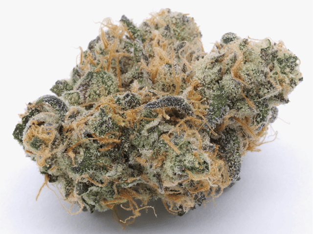 G Nut #11 3.5g