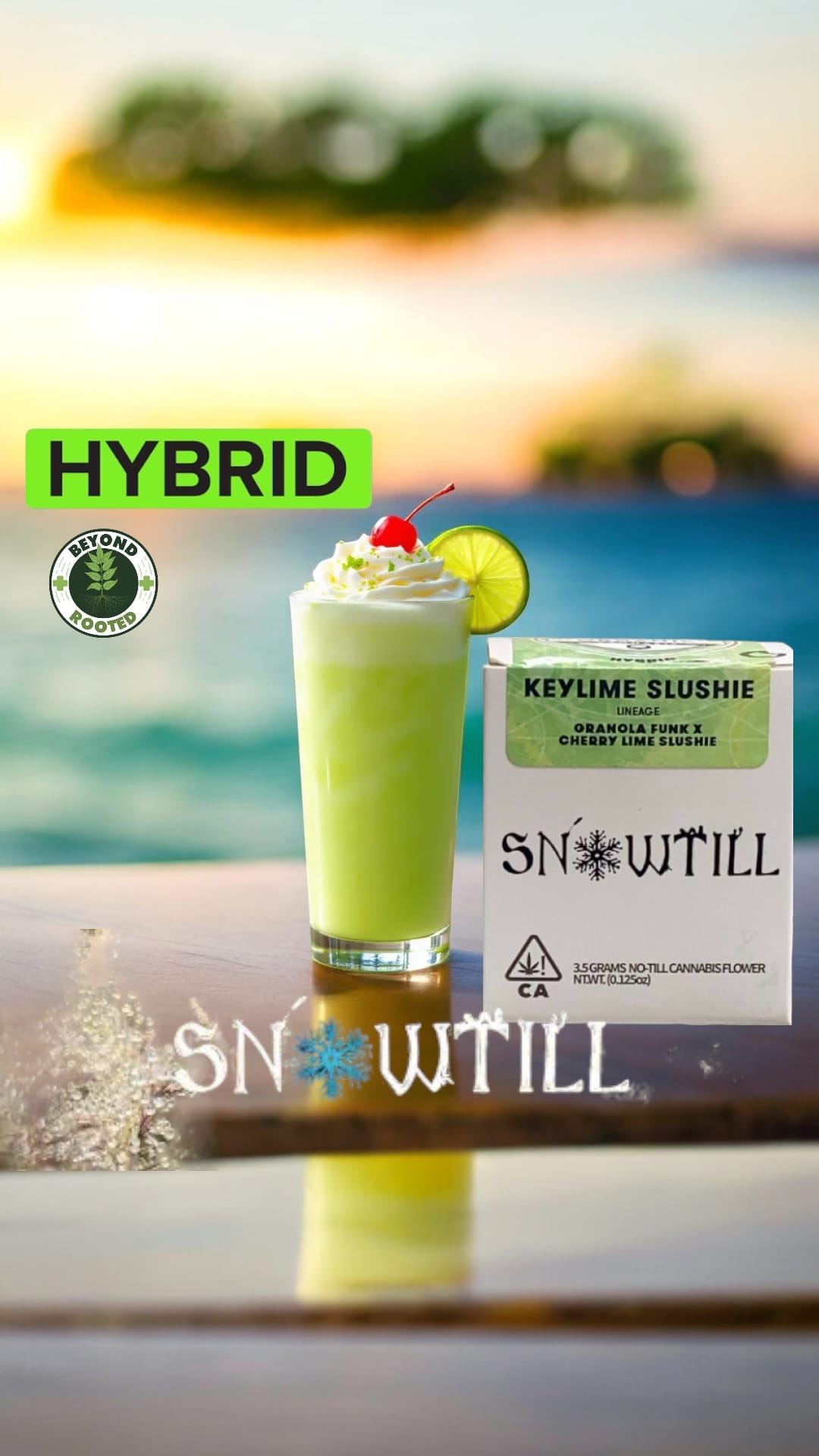 Snowtill: Keylime Slushie