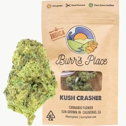Burr's Place — Kush Crasher