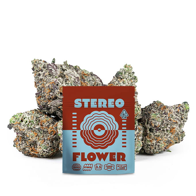 Stereo Flower: The Gruntz