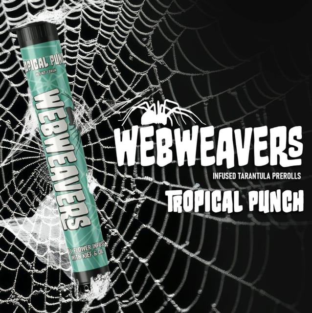 Tarantula Infused Pre-roll 1g - Tropical Punch