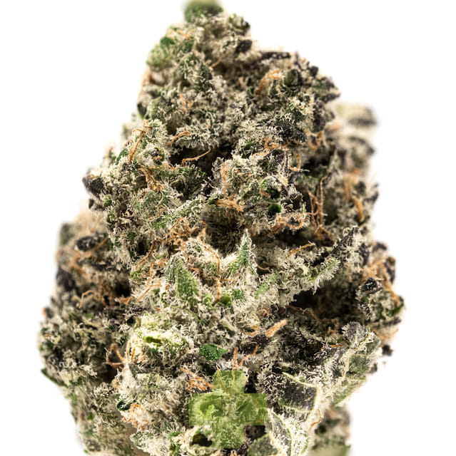 THC Design: Blueberry