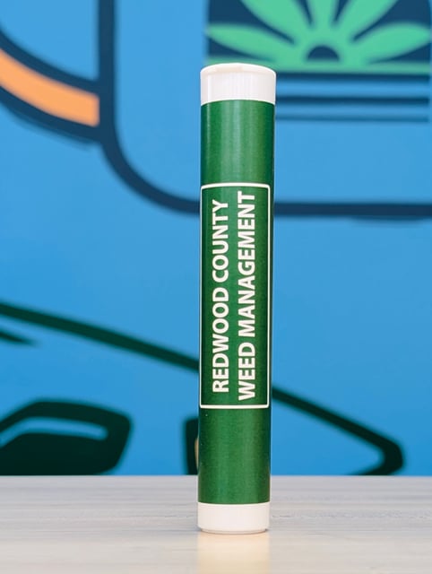 Halle Berry - 1 g Pre-Roll