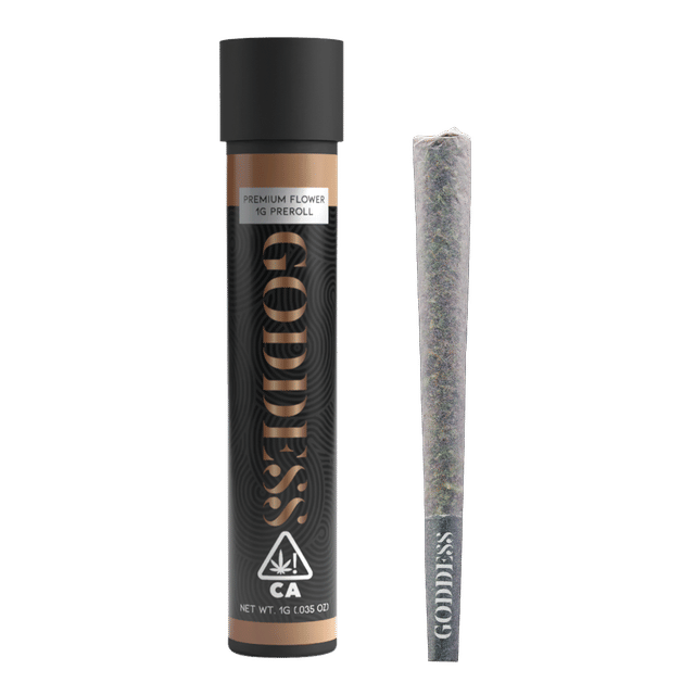 Goddess — Animal Gelato