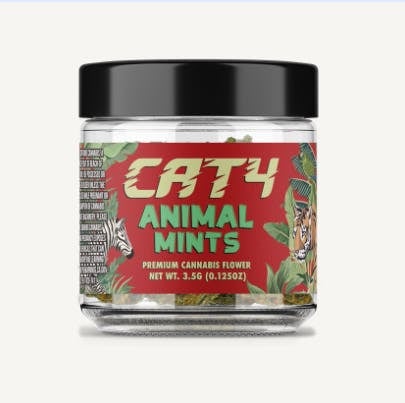 Cat4 - Animal Mints 🦓 3.5g