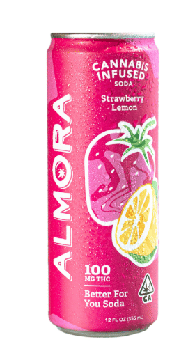Strawberry Lemonade - Prebiotic Soda (100mg)