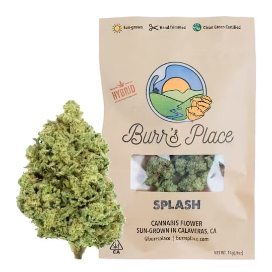 Burr's Place — Splash
