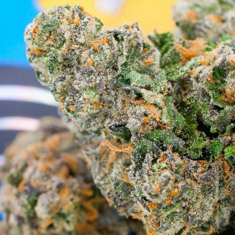 Ted's Budz — Tuna Belly