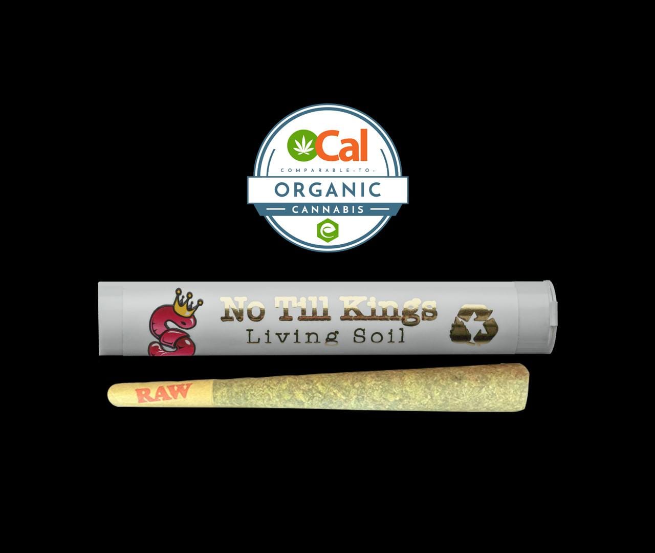 No Till Kings: SFV X Animal Mints