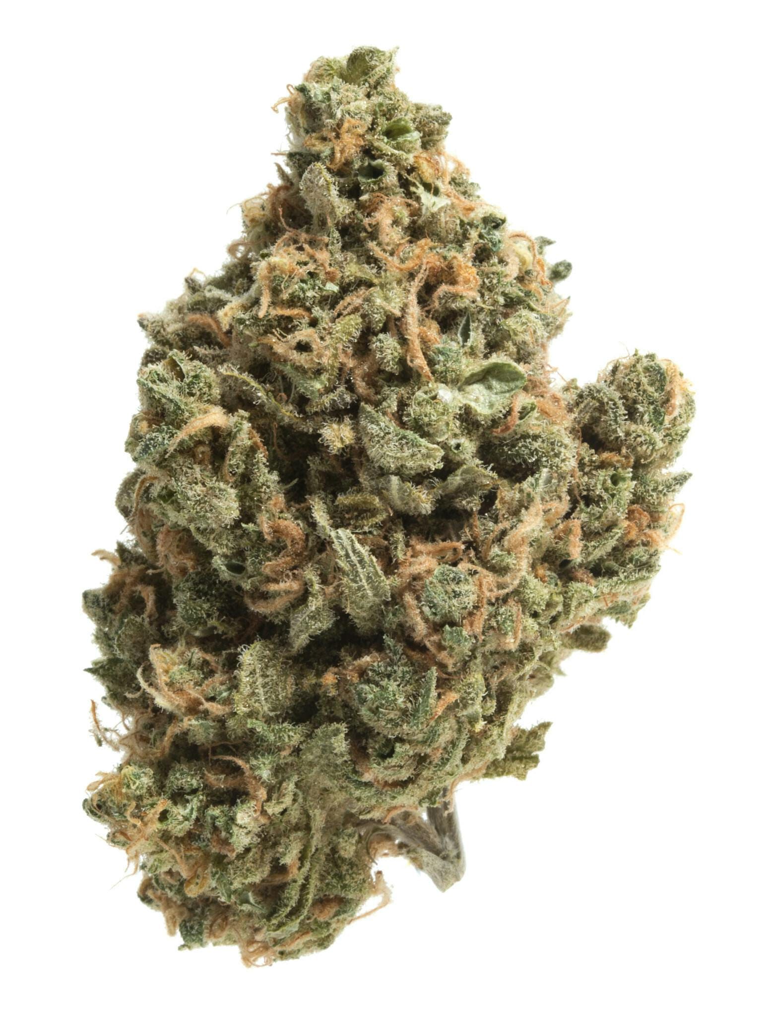 Lumpy's Flowers — Gary Payton Mylar Bag