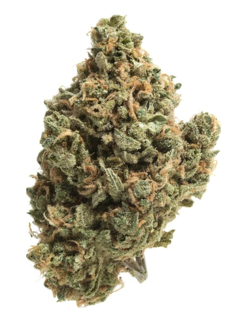 Lumpy's Flowers — Gary Payton Mylar Bag