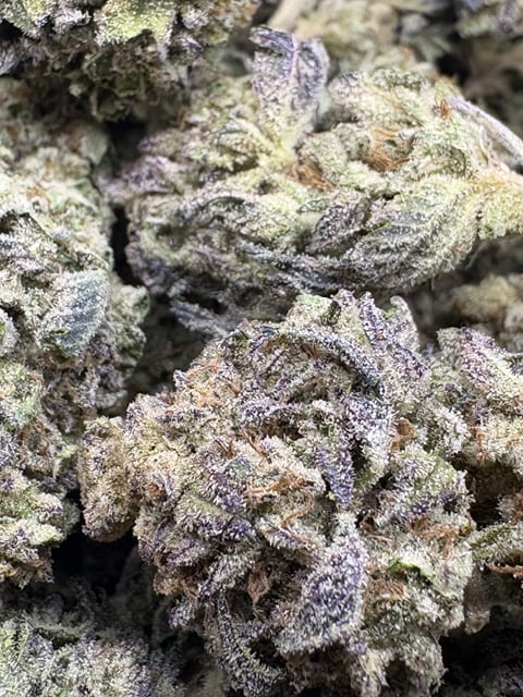 $20 Blackberry Gelato 7g (AAA-Grade)