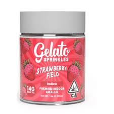 Gelato: Strawberry Field