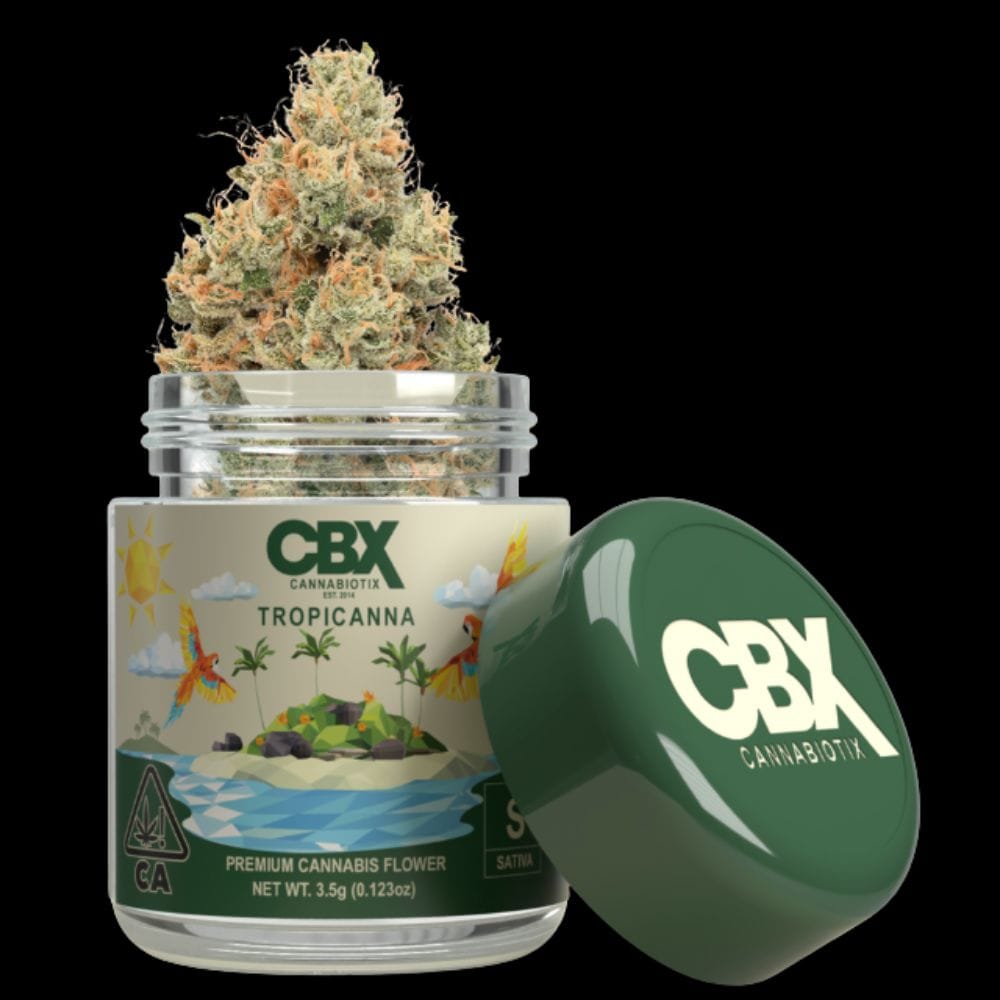 CBX: Tropicanna