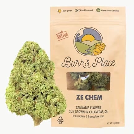 Burr's Place — Ze Chem