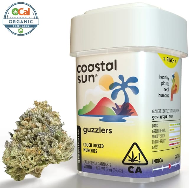 Coastal Sun β Guzzlerz
