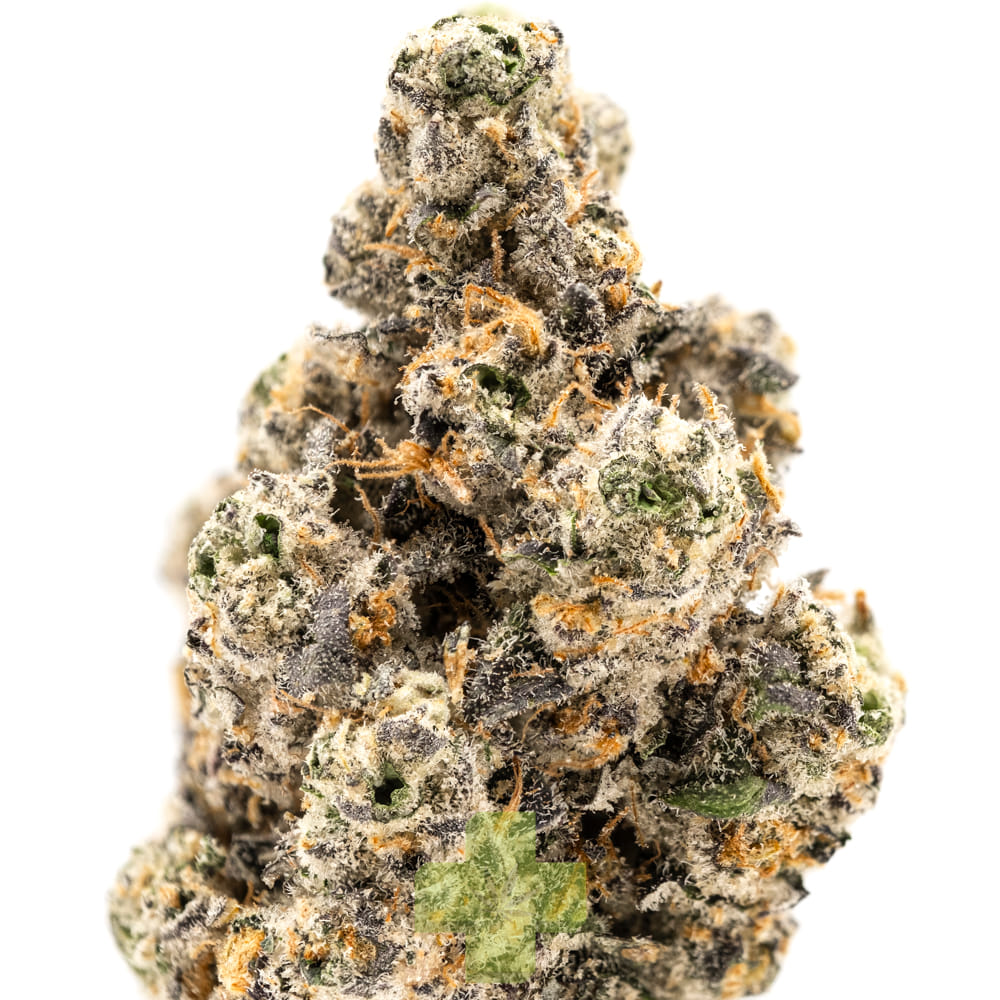 Top Shelf Cultivation — Gas Face