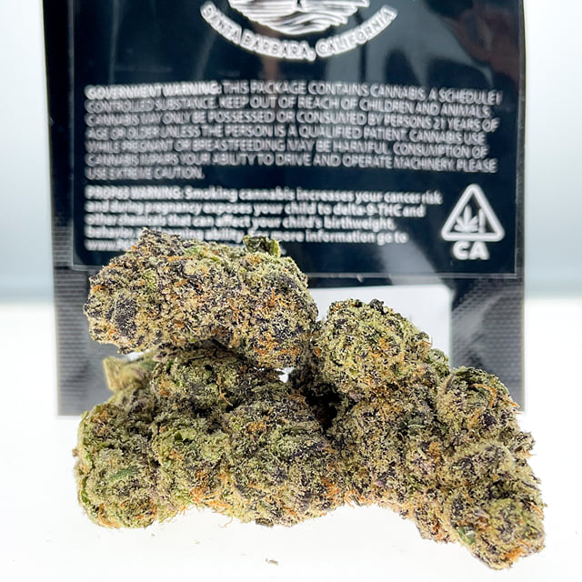 Bubblegum Gelato