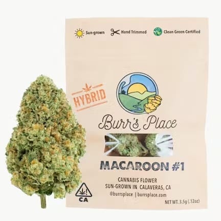 Burr's Place — Macaroon