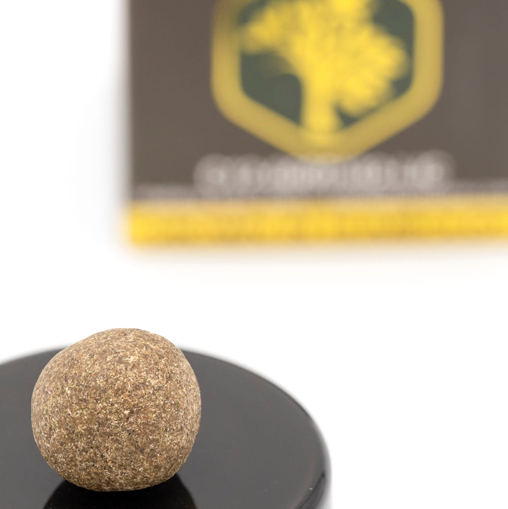 Talking Trees Farms — Motor Beltz Temple Ball