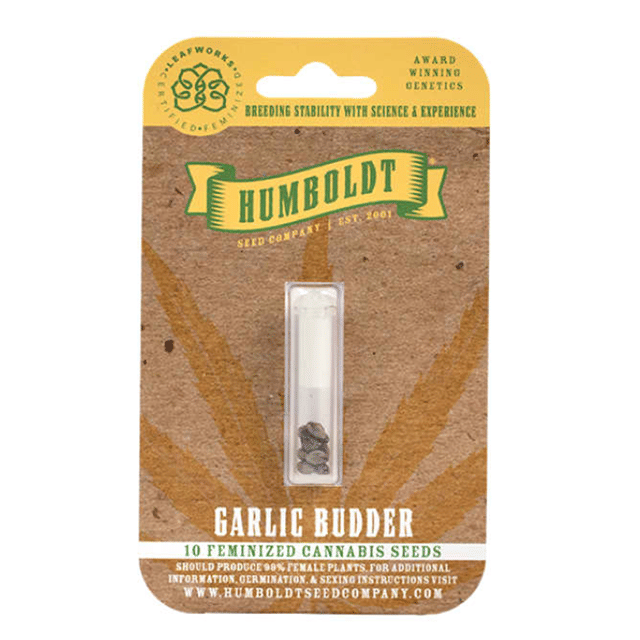 Garlic Budder Feminized Seeds 10pk
