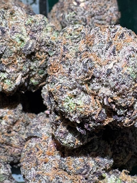 $10 Area 51 x Blue Alien - 31% THC (AAA-Grade Flower)