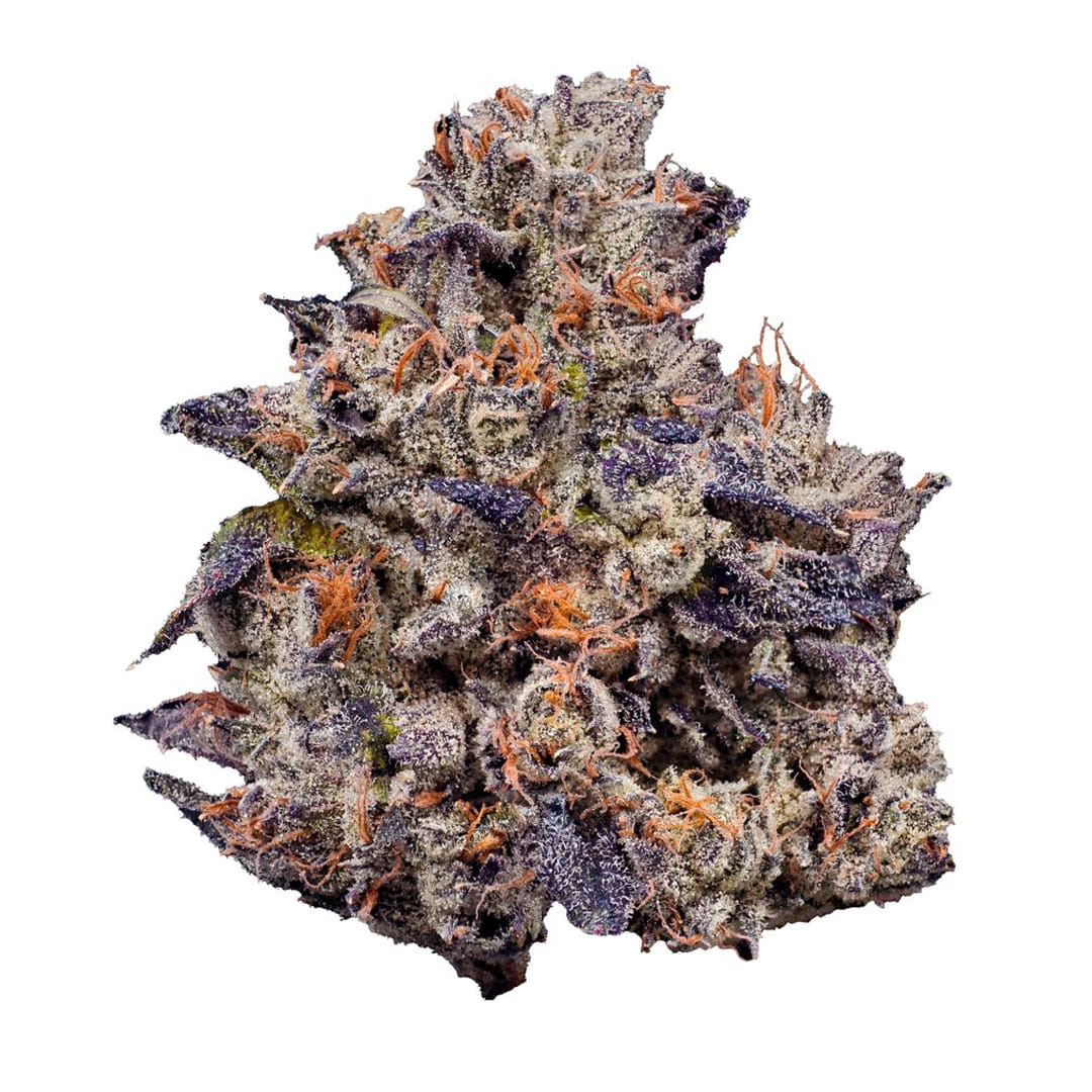 Fig Farms — Lemon Cherry Gelato (H)