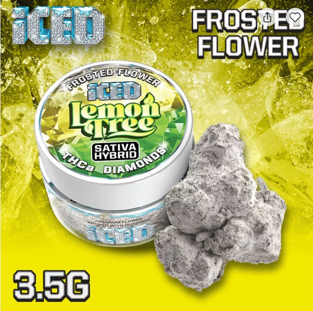 ICED — Lemon Tree - Frosted