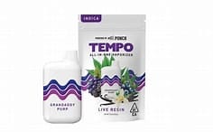 TEMPO: GDP
