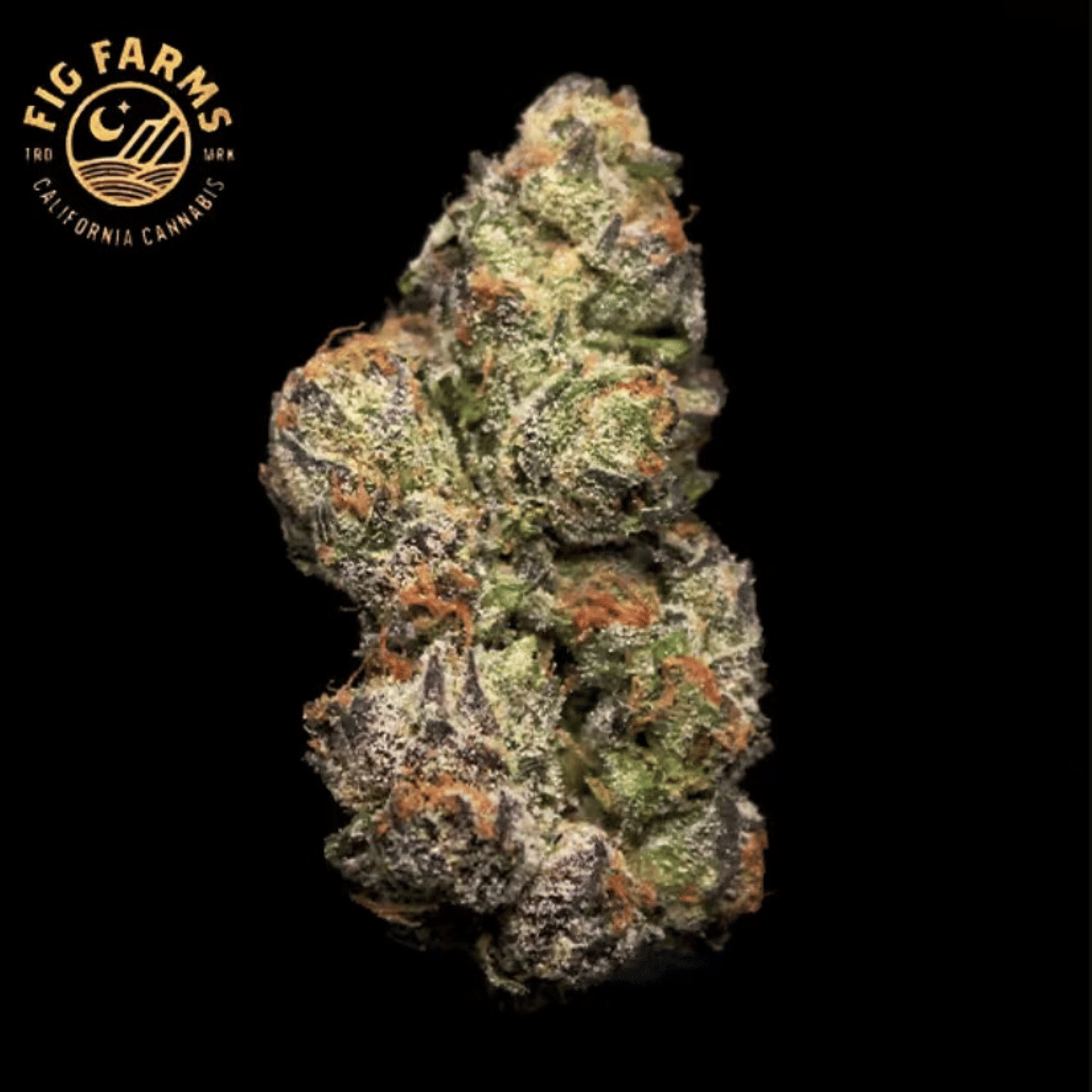Fig Farms - Whole Fruits - 3.5g - Fig Farms - WF - AA Flower - 3.5g - $42.99 - Indoor Flowers