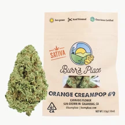 Burr's Place — Orange Creampop
