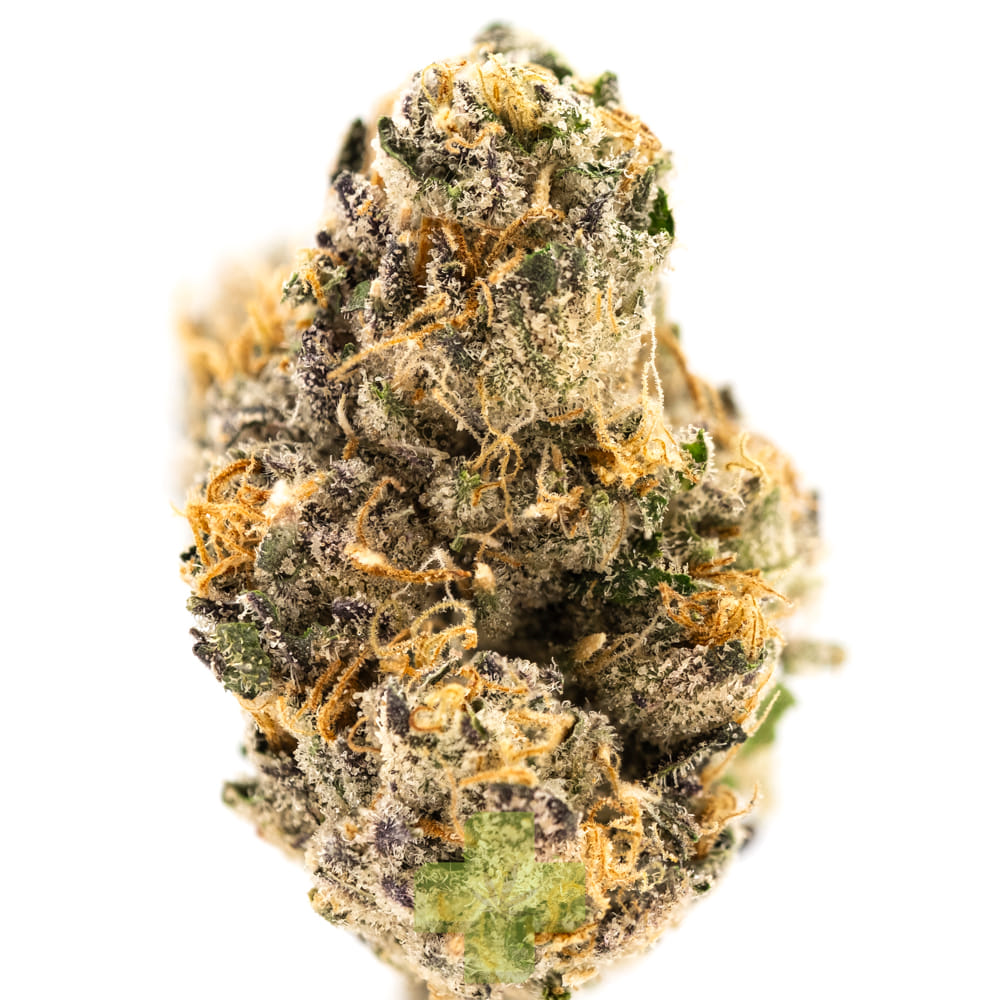 Northern Emeralds: Tropical Thunder