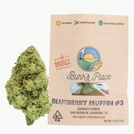 Burr's Place — Blueberry Muffin