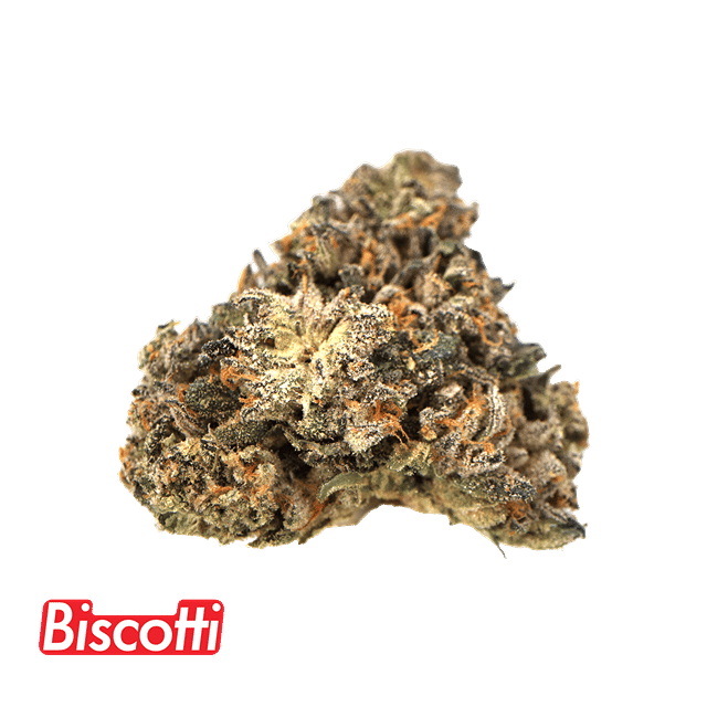 Biscotti | 3.5g