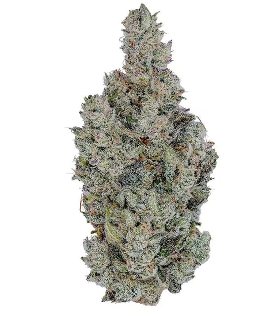 Holy Cow! | 3.5g