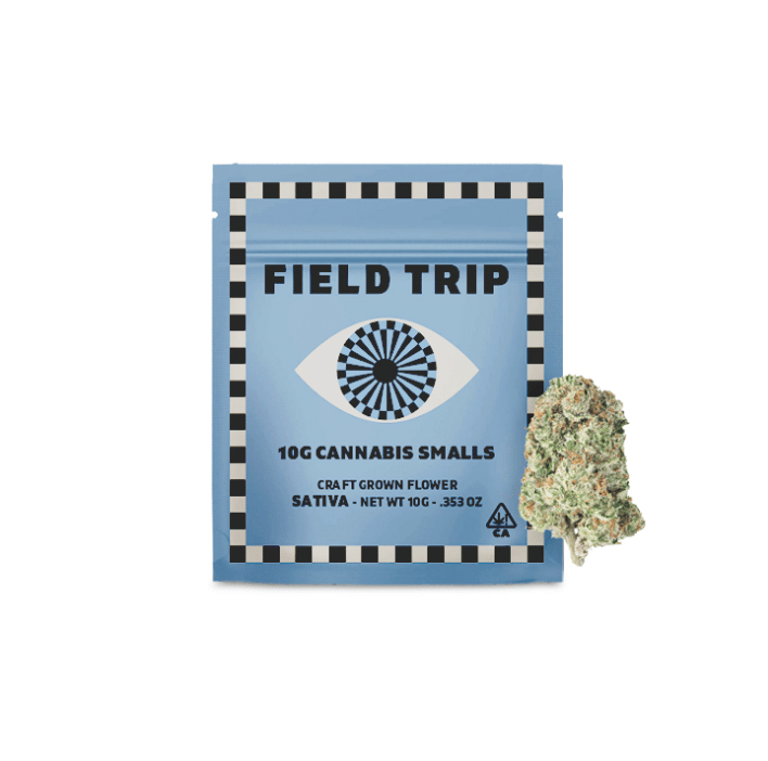 Field Trip: Sales Floor