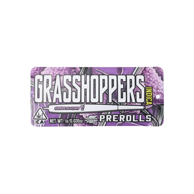 Grape Slushie 1G Infused