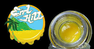 Gush Mints Cold Cure Live Rosin 1g
