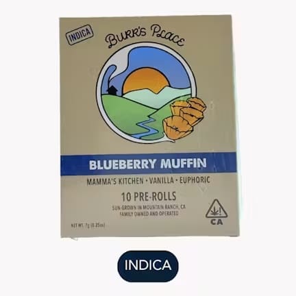 Burr's Place: Blueberry Muffin