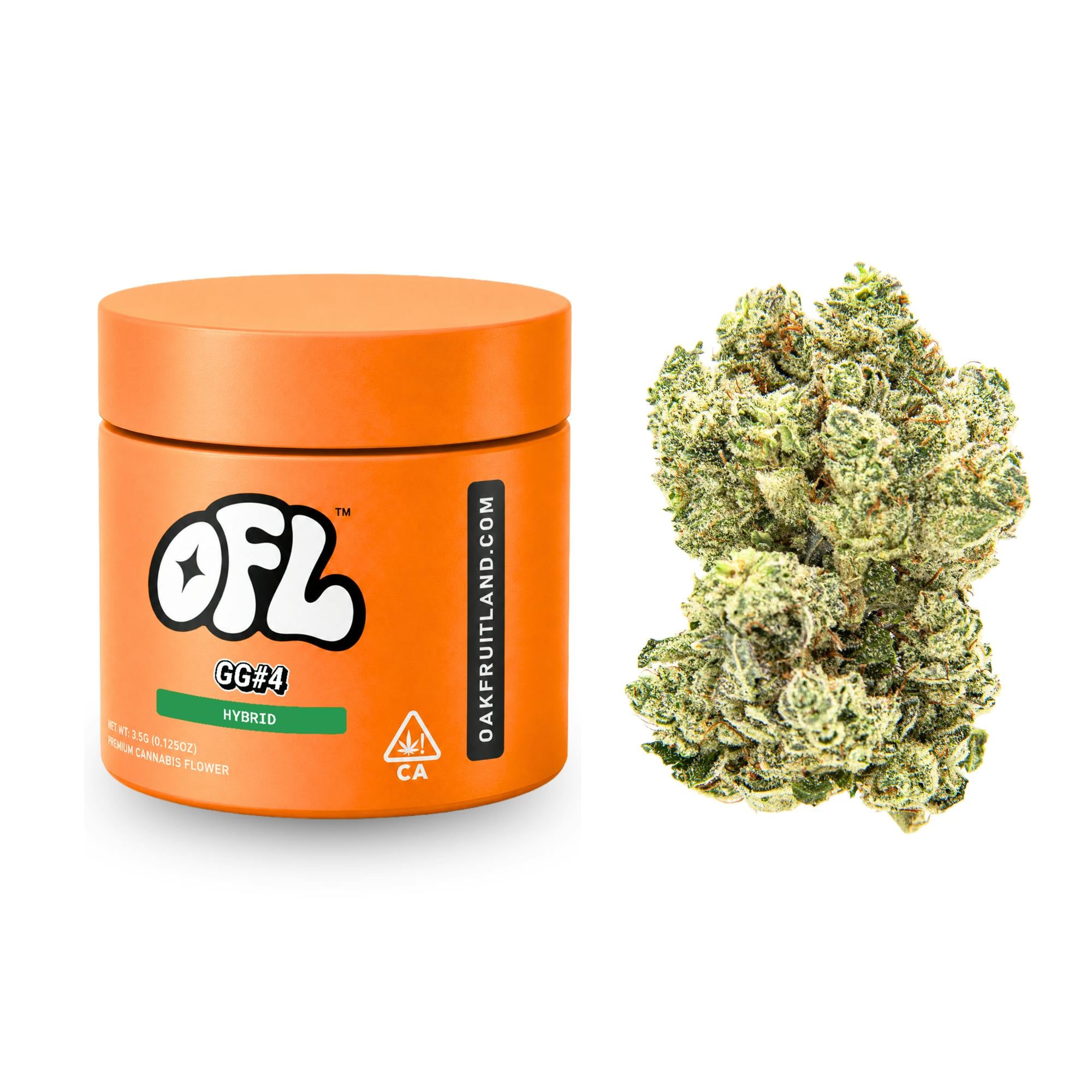 Oakfruitland (OFL): Gg#4 Jar