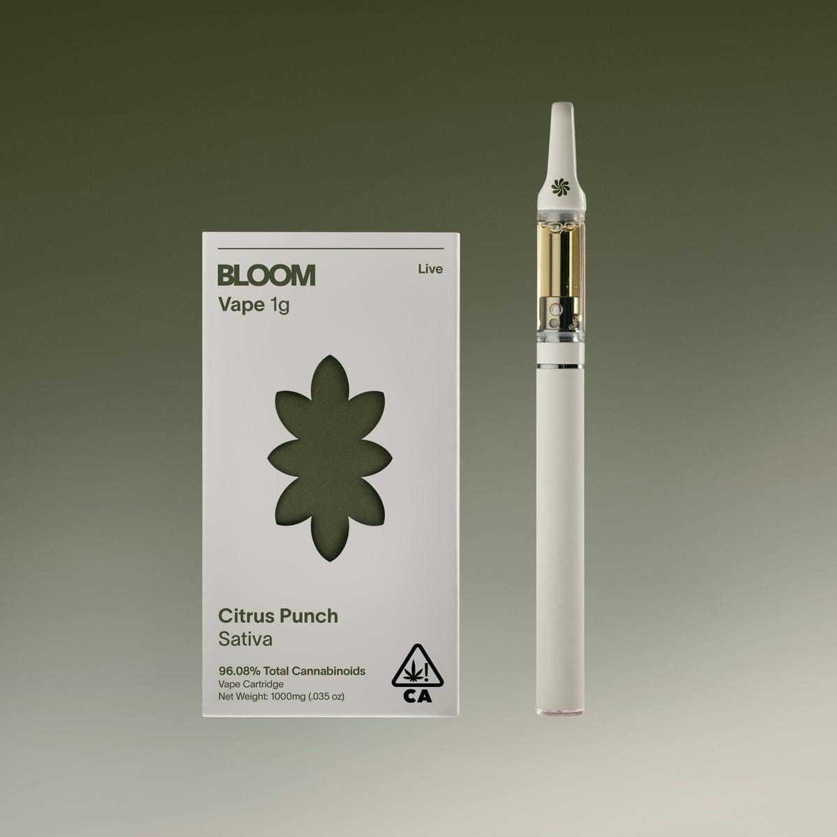 BLOOM: Citrus Punch Surf